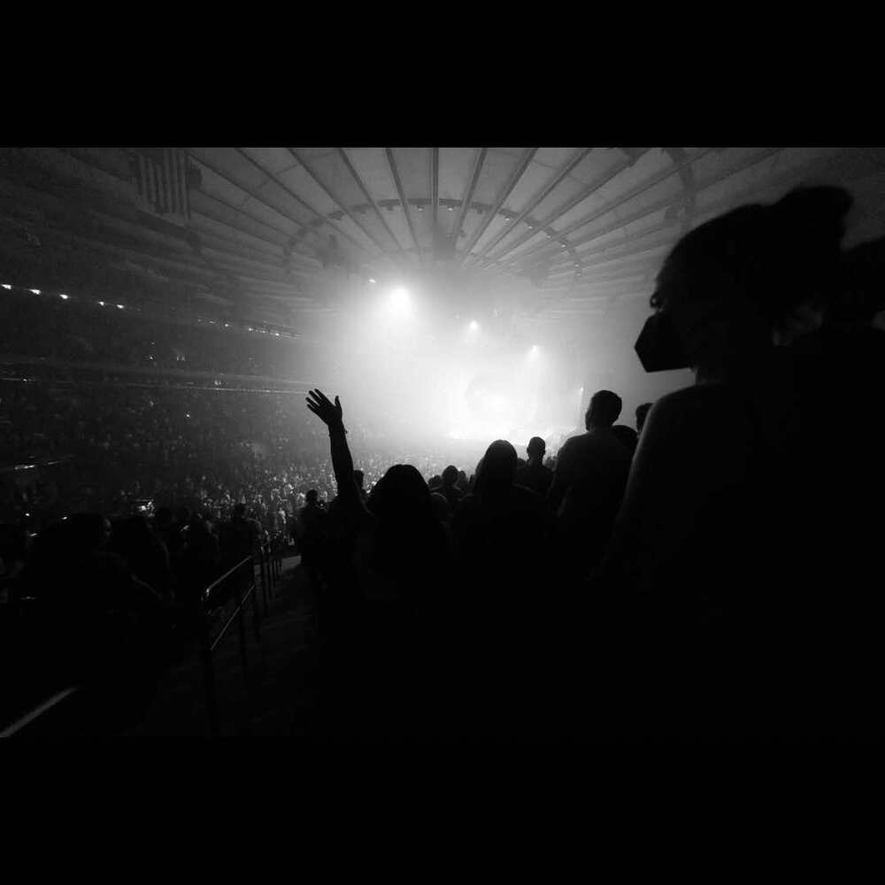 Harry Styles Suite Tickets at Madison Square Garden